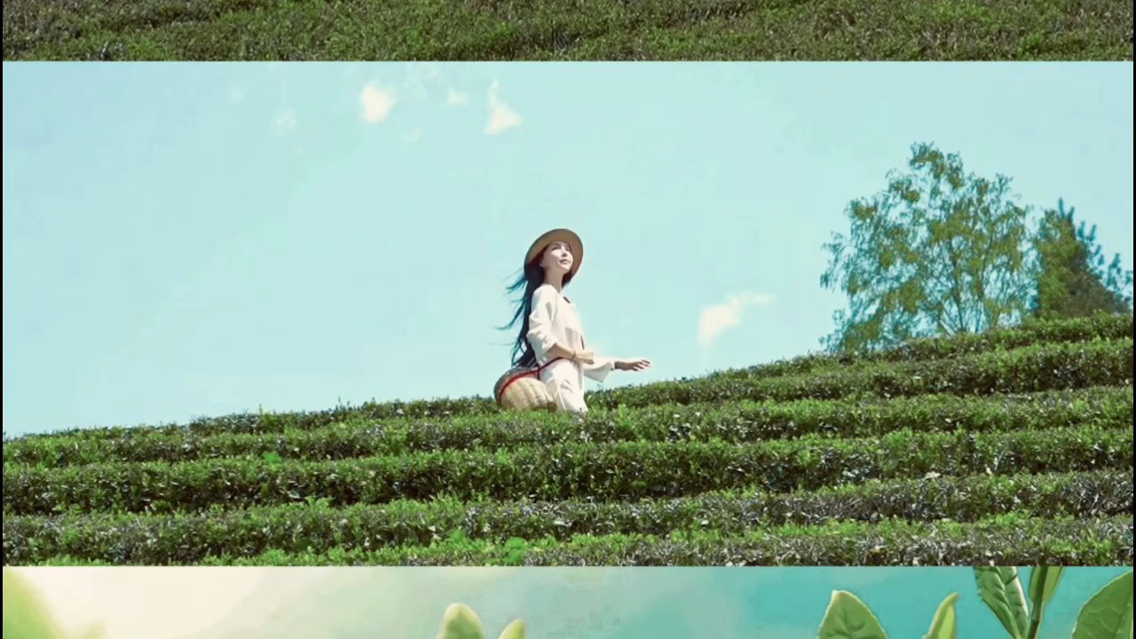 在恩施，和我一起去采茶🍃｜ 一不小心变成了恩施硒茶推广大使，和我一起化身茶农一起来一次不一样的恩施采茶之旅。 · 恩施硒茶产自武陵山腹地被誉为“世界硒都”的湖北恩施土家族苗族自治州。恩施州是我国茶树原产地和“万里茶路”源头之一，茶叶生产栽培有文献记载以来有3000多年历史。 · 作为中国现存唯一的蒸青针形绿茶，恩施玉露的制作工艺那可是相当讲究，还被列为国家级非物质文化遗产呢！从采摘到成品，要历经蒸...