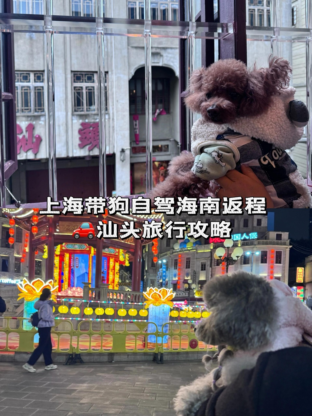 上海自驾🚗带狗海南返程篇—汕头旅行攻略