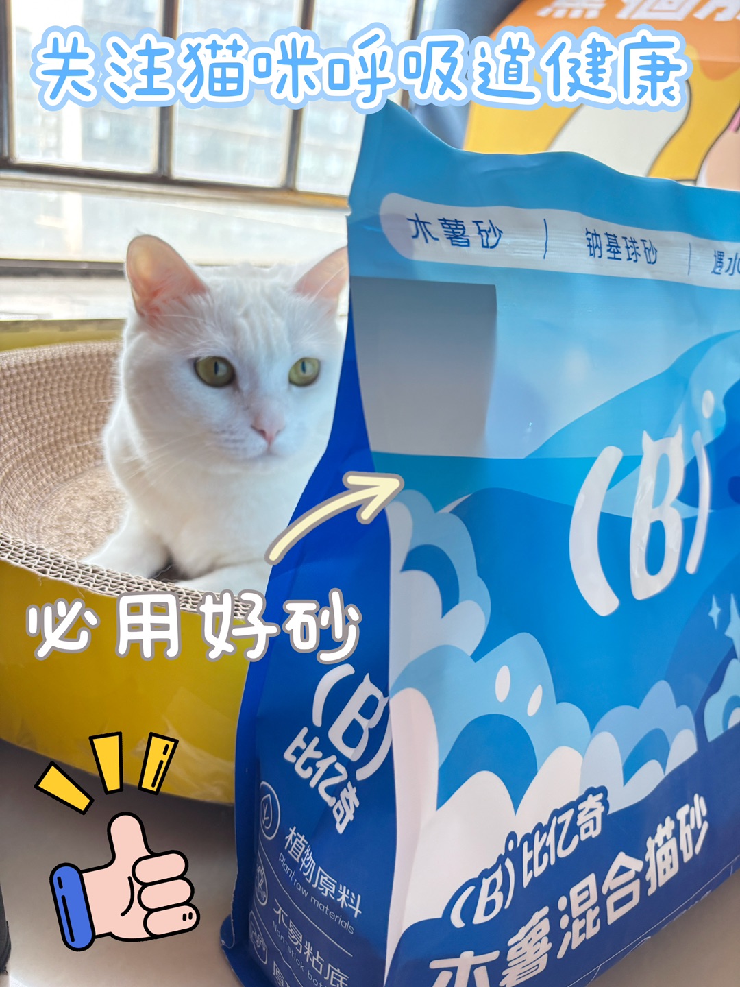 西五街