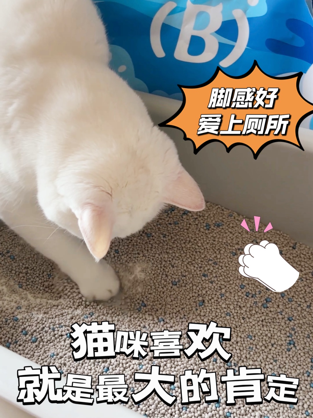 西五街