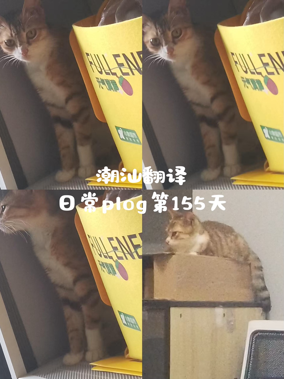 终于在这场盛大的期许中，失望而归