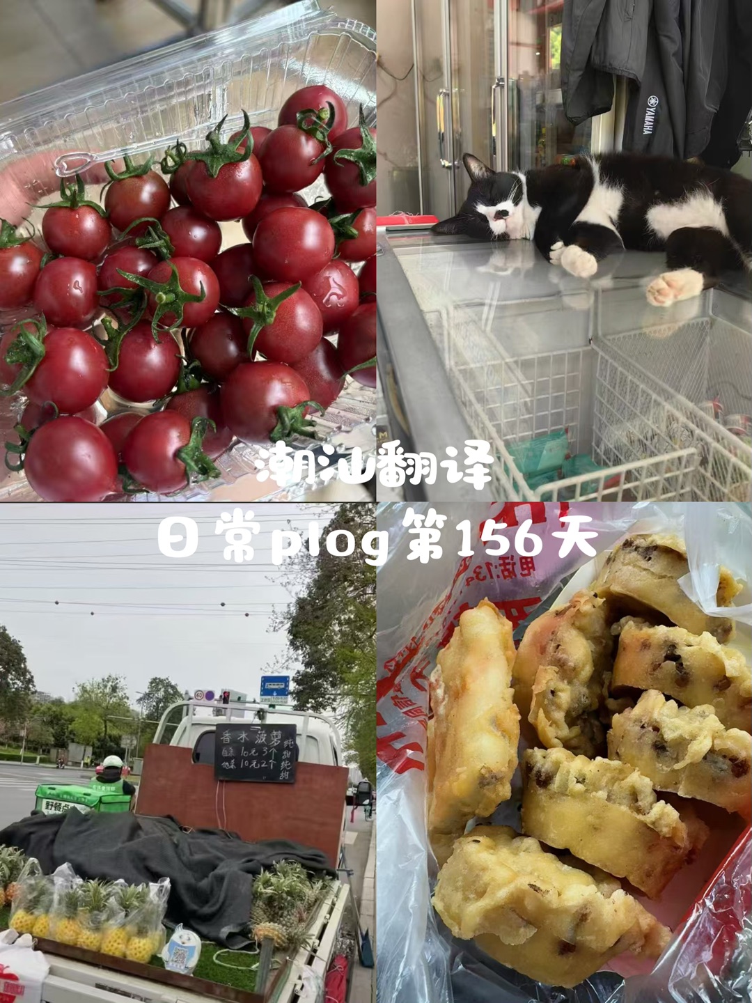 突然有一瞬间，觉得自己走错了好多路