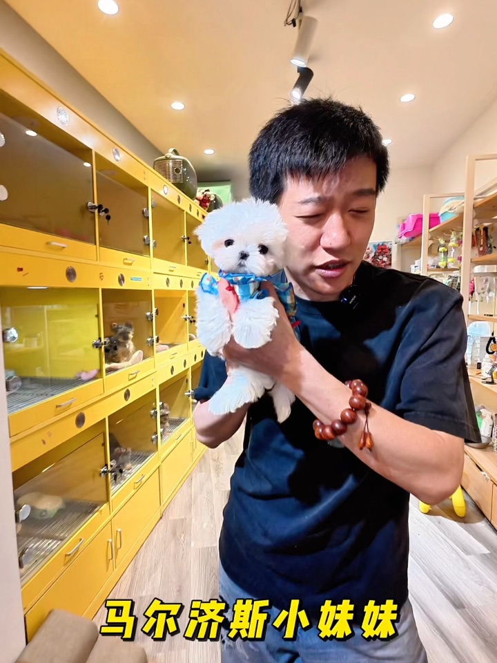 OMG｜谁能拒绝一只“情绪价值拉🈵”的女友犬❓