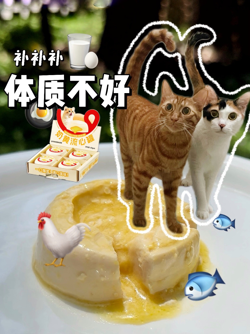 🛒 𝑉𝑙𝑜𝑔｜一口滋溜 吃掉你这个心机罐