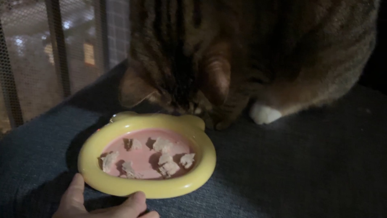 04.28给俺吃