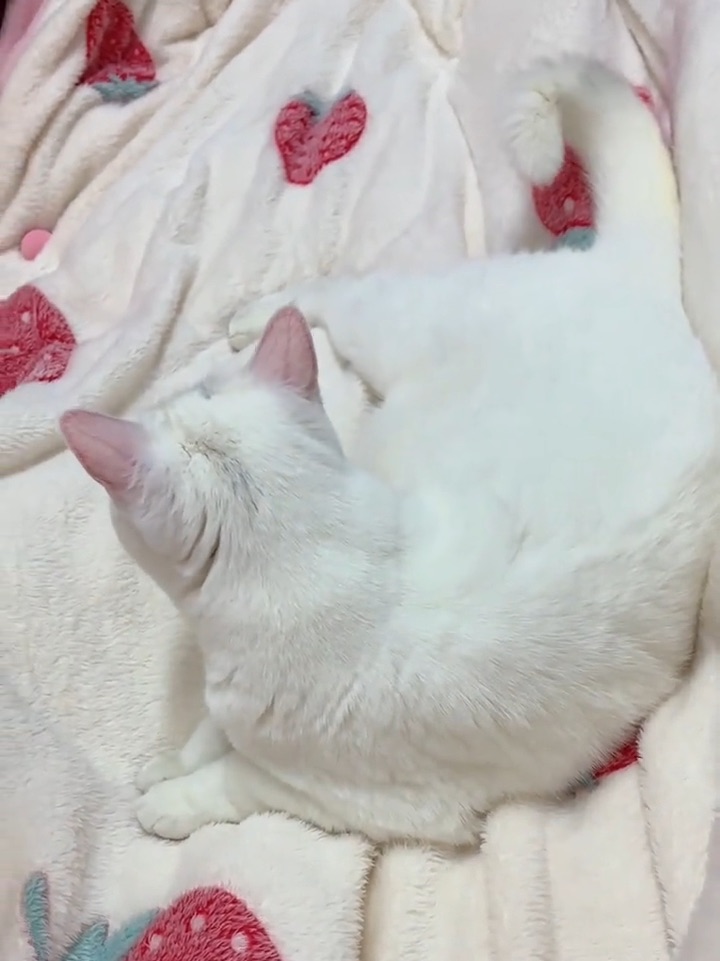 4月补卡6