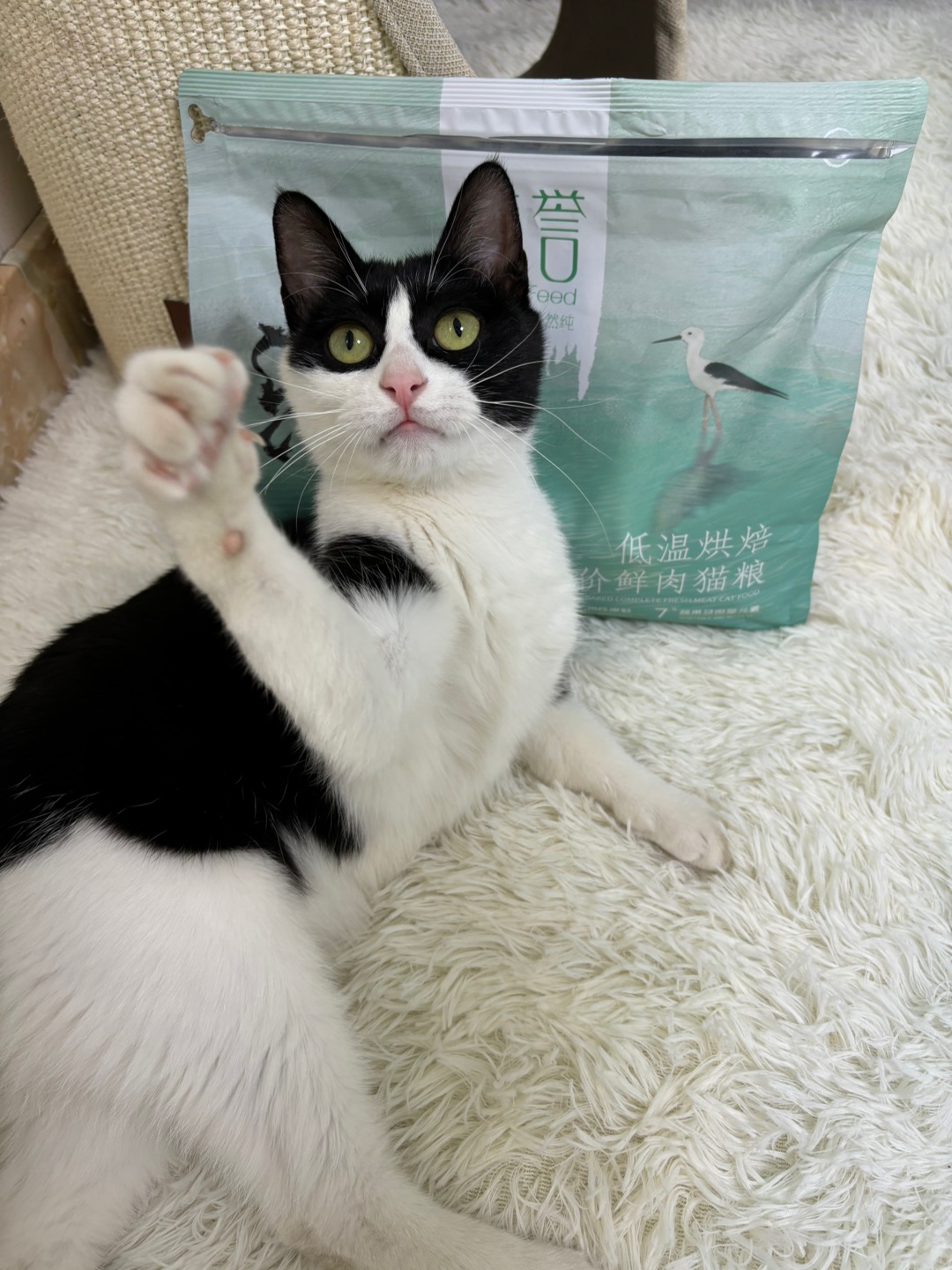 西五街