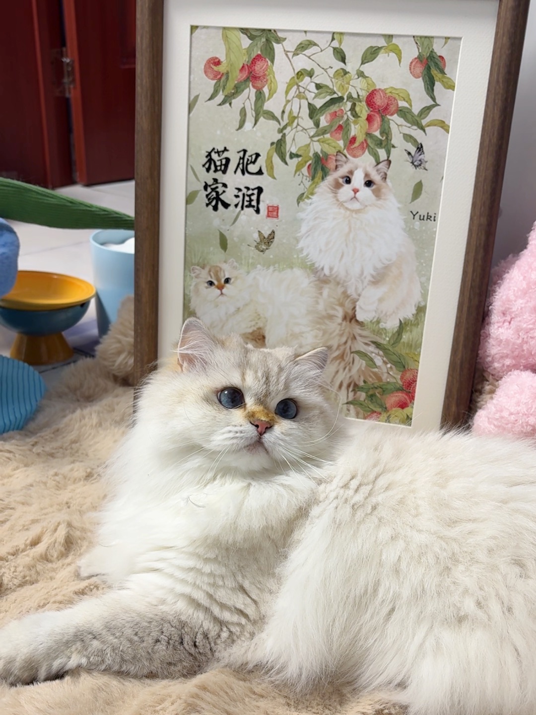 猫猫我呀，也有画啦！
