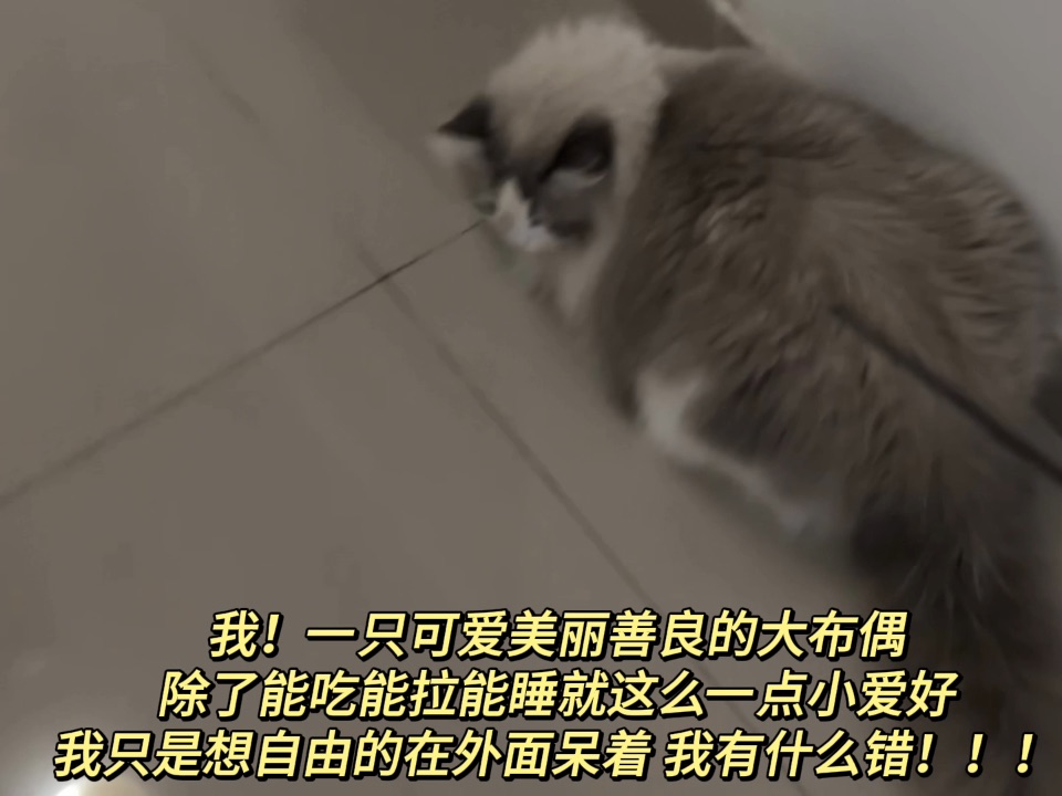 我爱自由0430