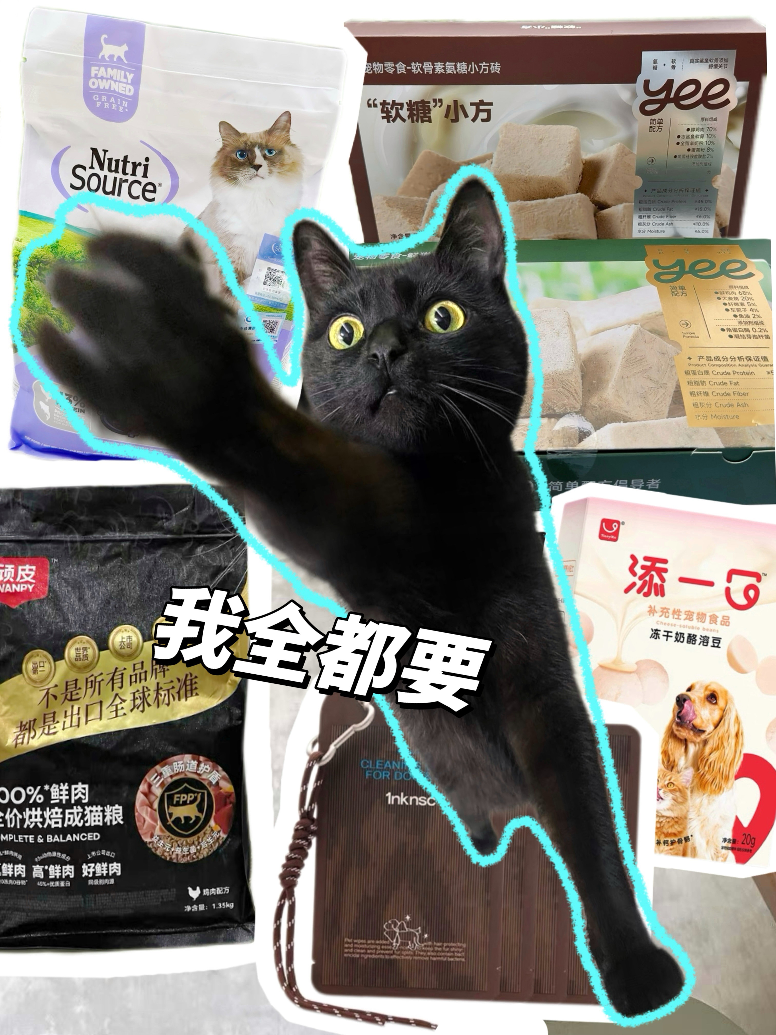 🛒 𝑉𝑙𝑜𝑔｜小猫才做选择 破猫我全都要