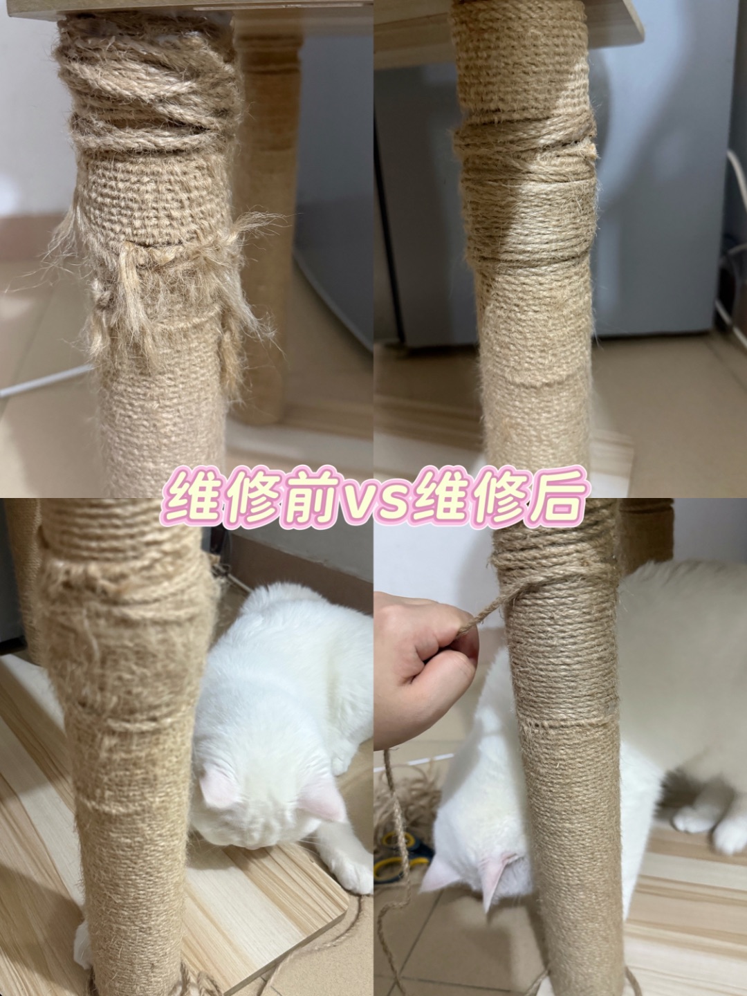 自己抓破的自己修🛠️