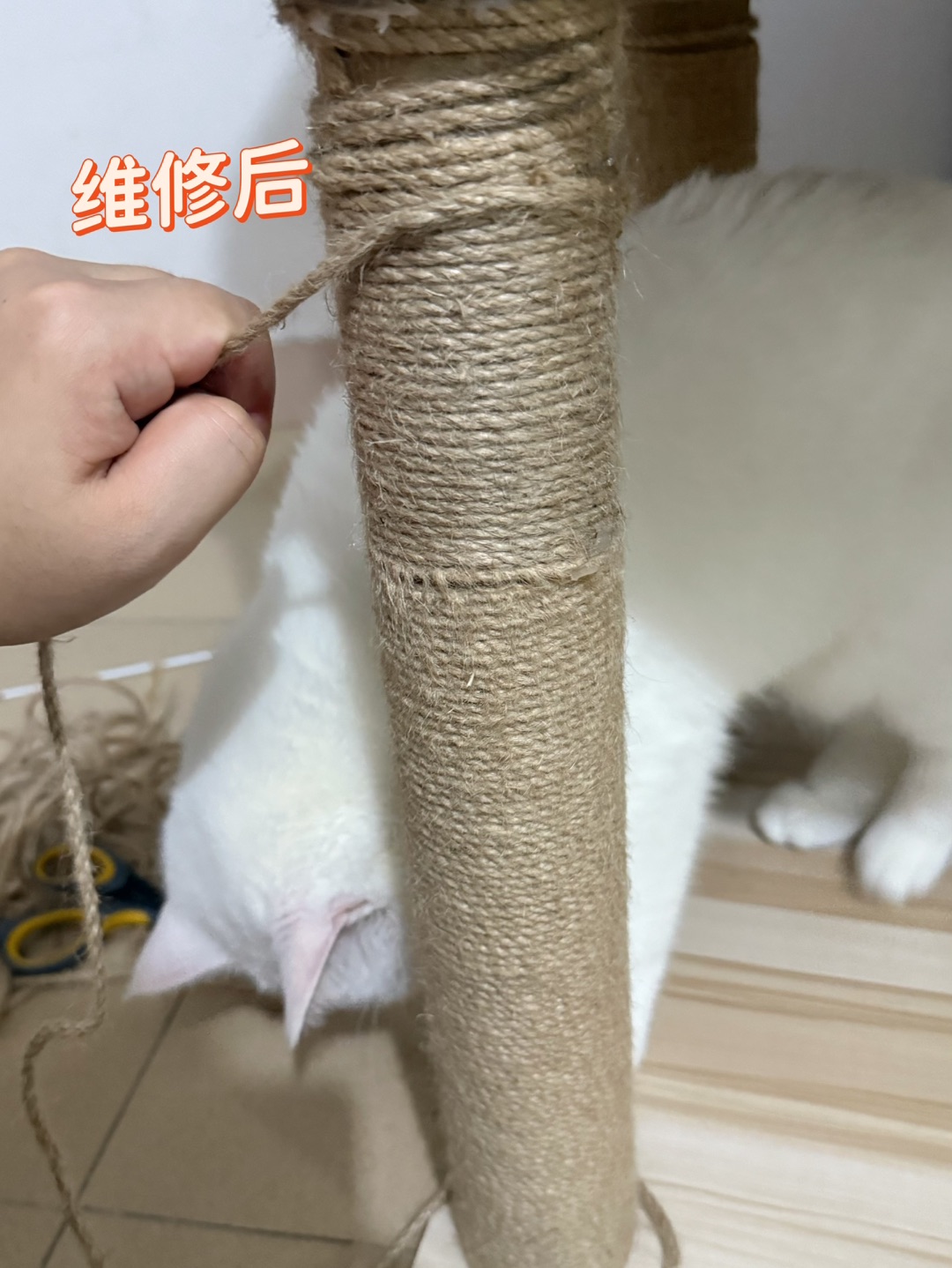 西五街
