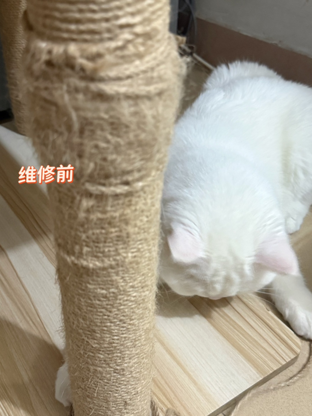 西五街
