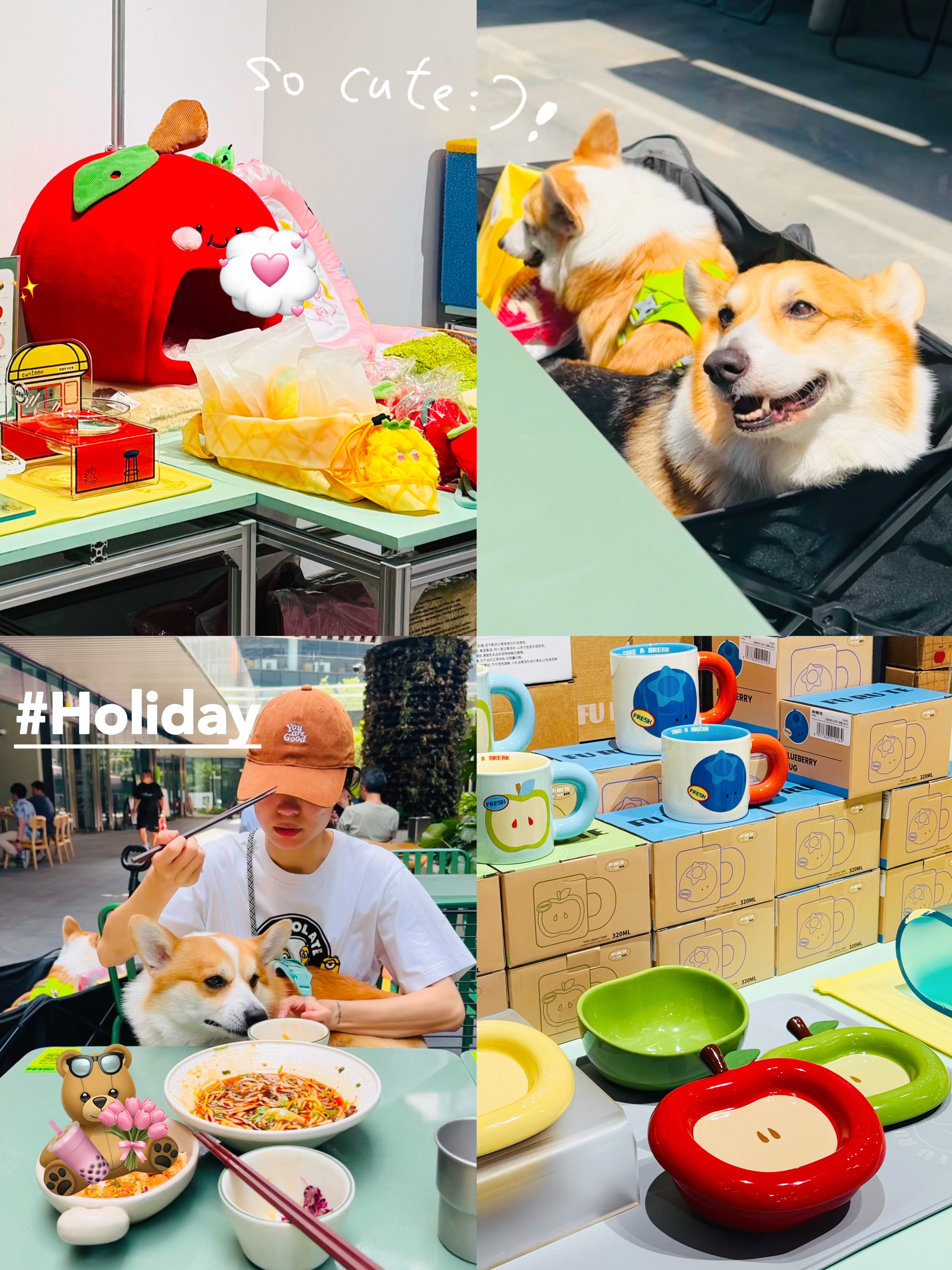 五一不挤高速🍎带小狗逛街购物吹吹风