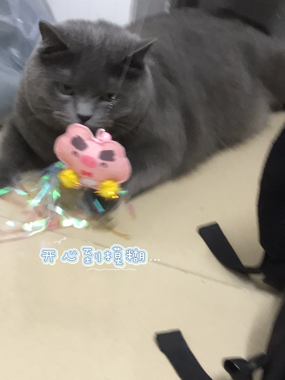 西五街