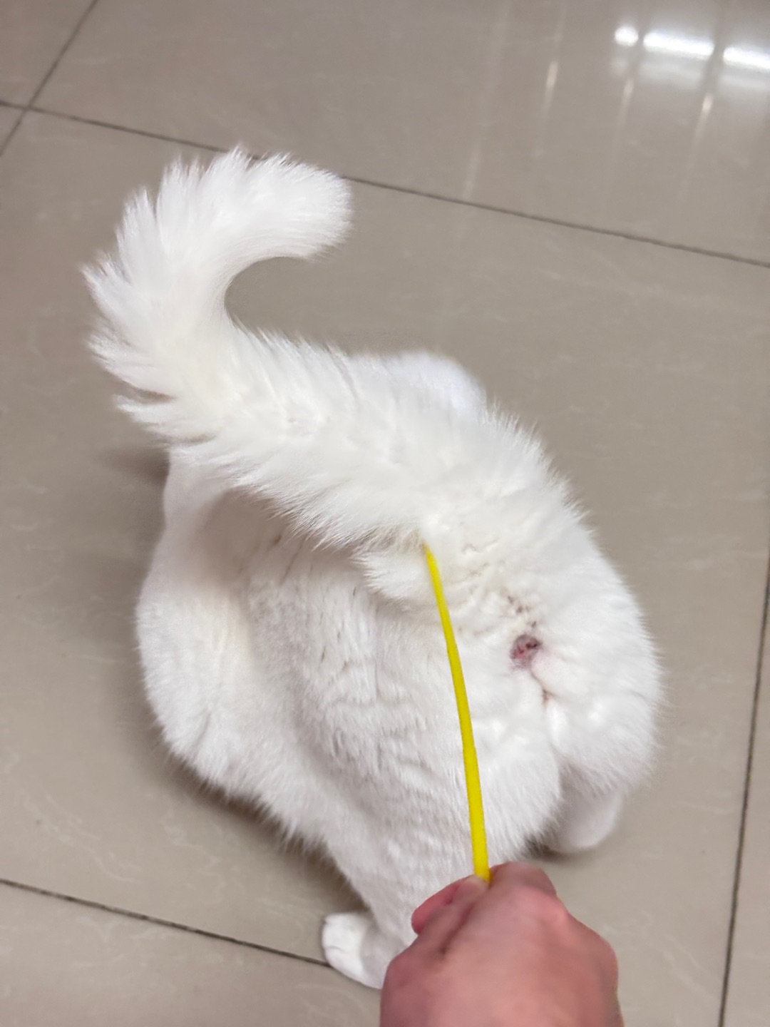 西五街