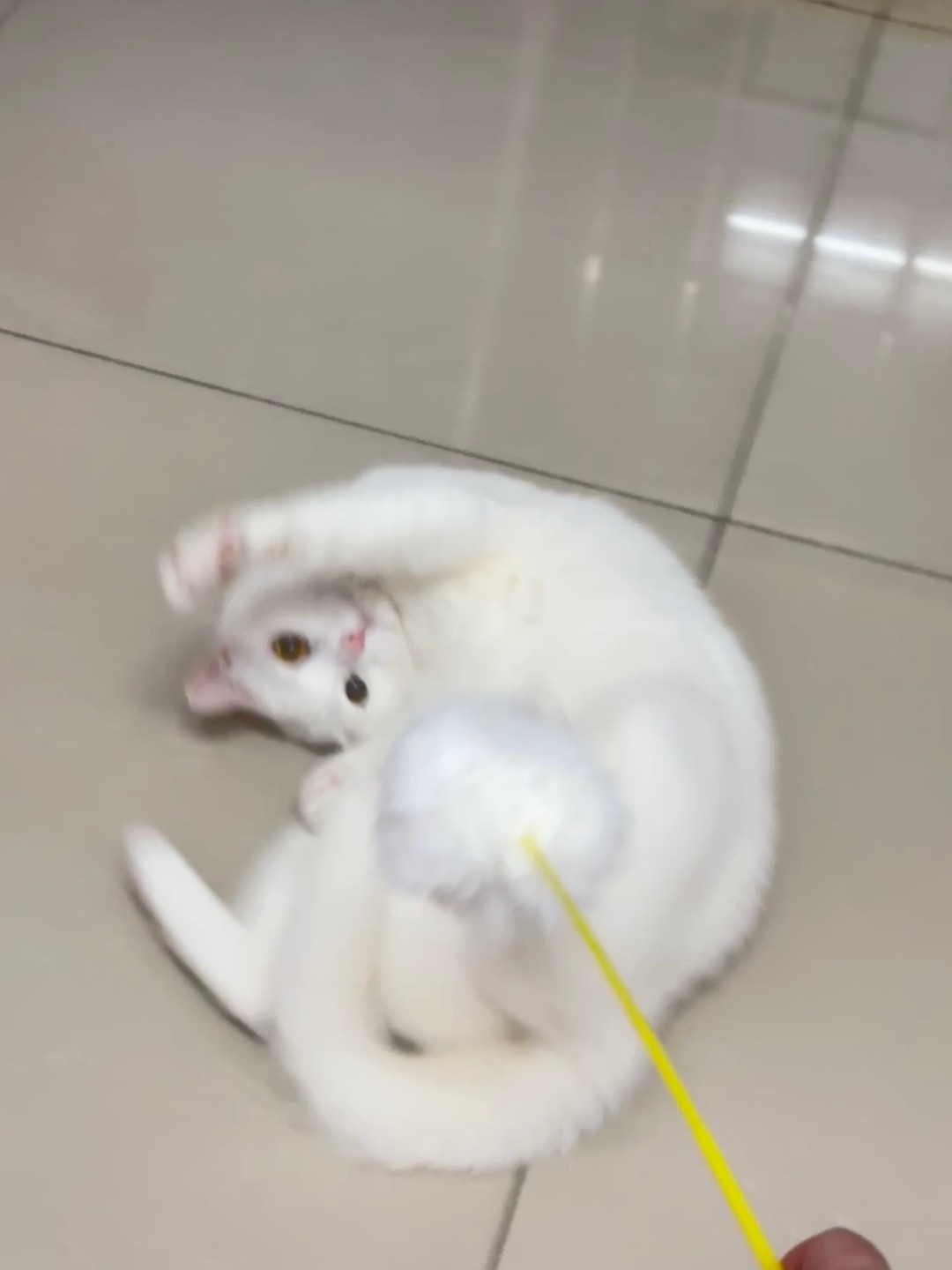 西五街