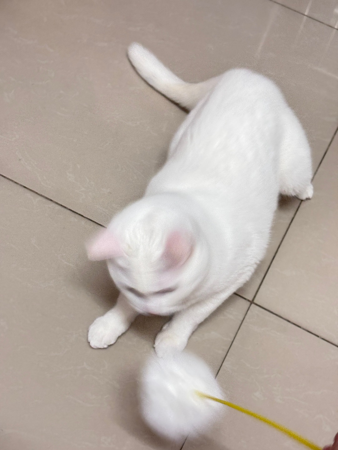 西五街