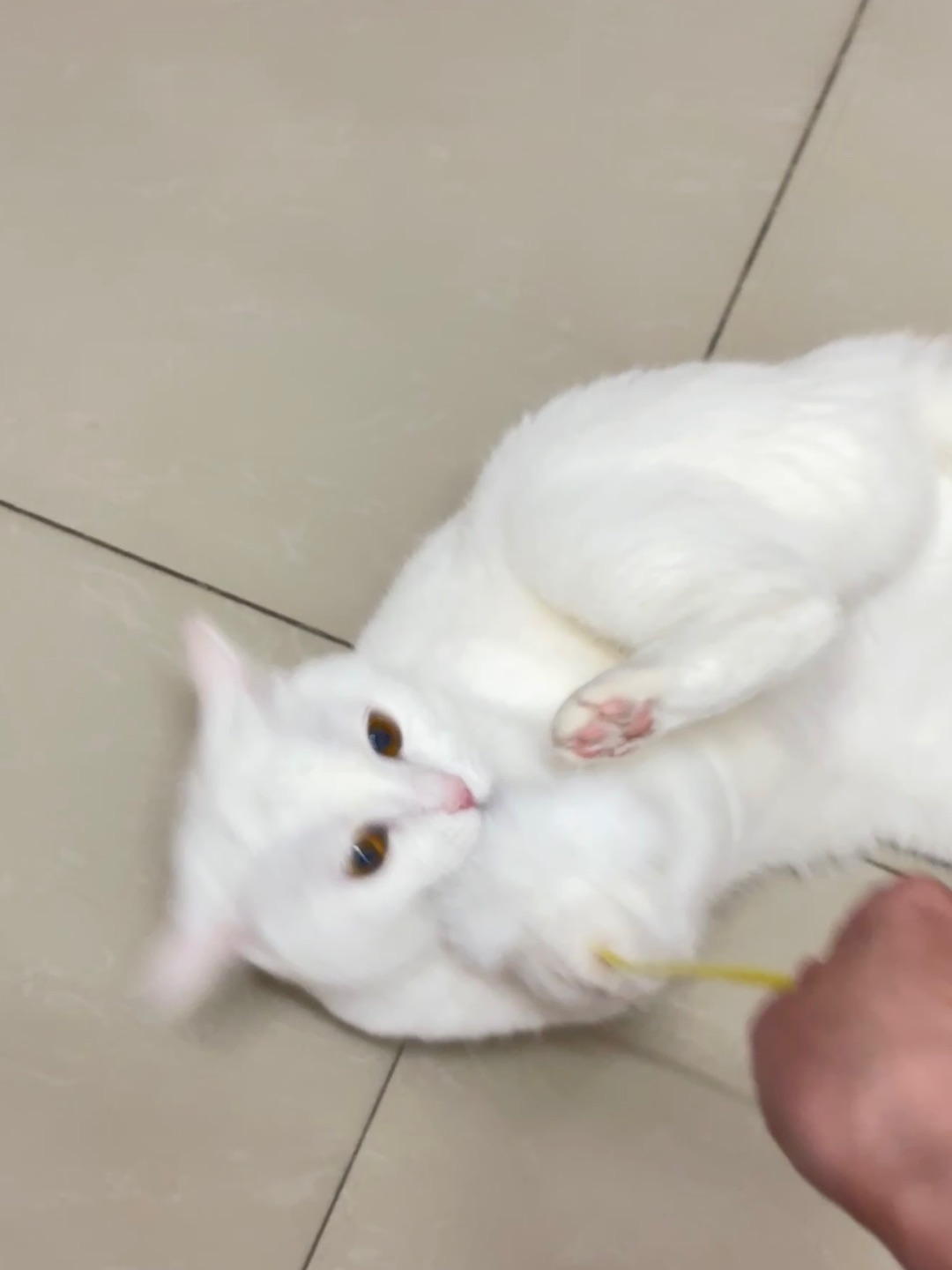 西五街