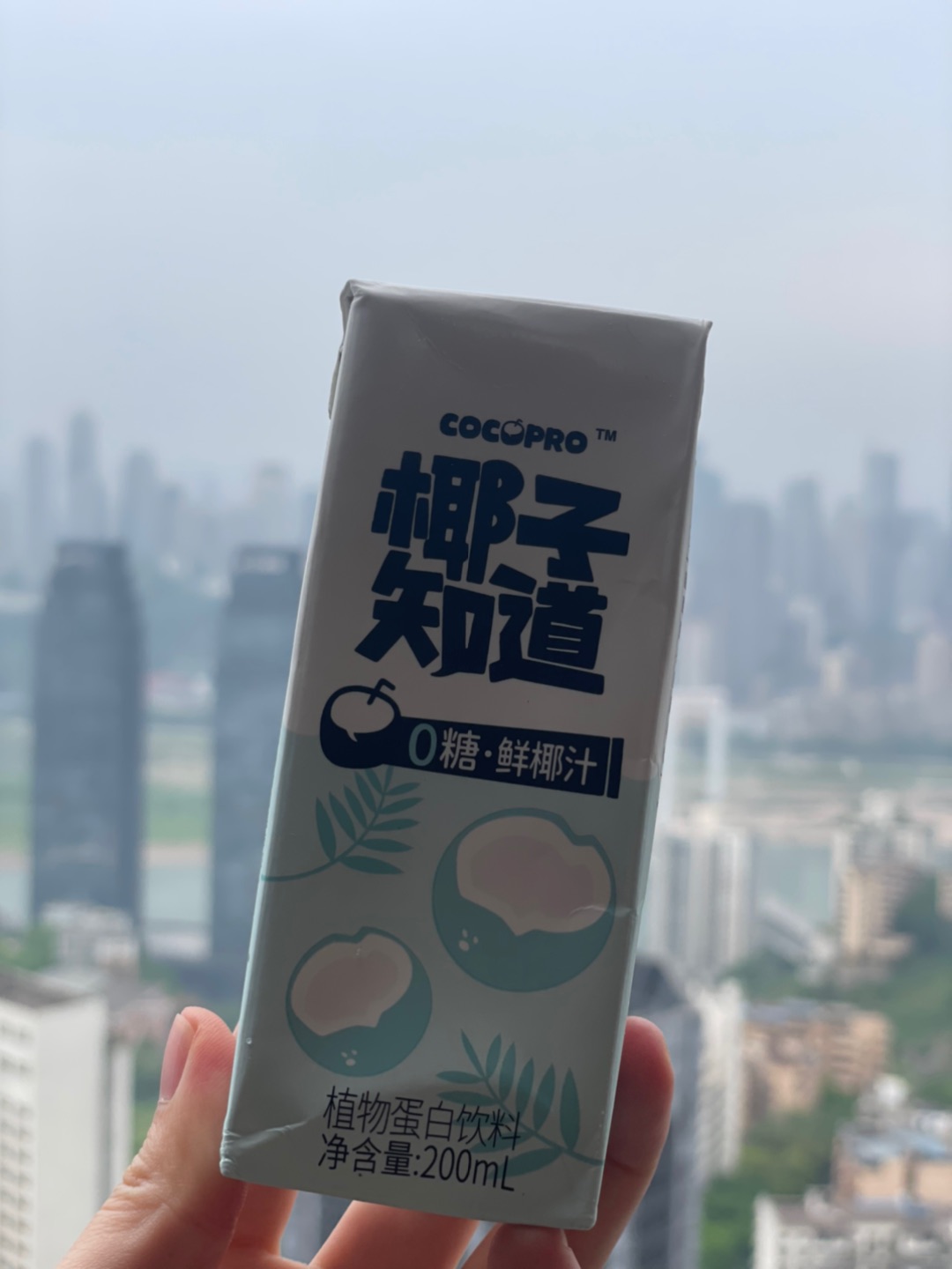 🥥控糖减脂期の本命椰汁！