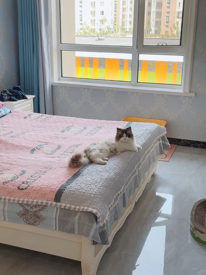 小少爷的日常