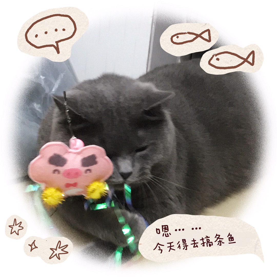 西五街