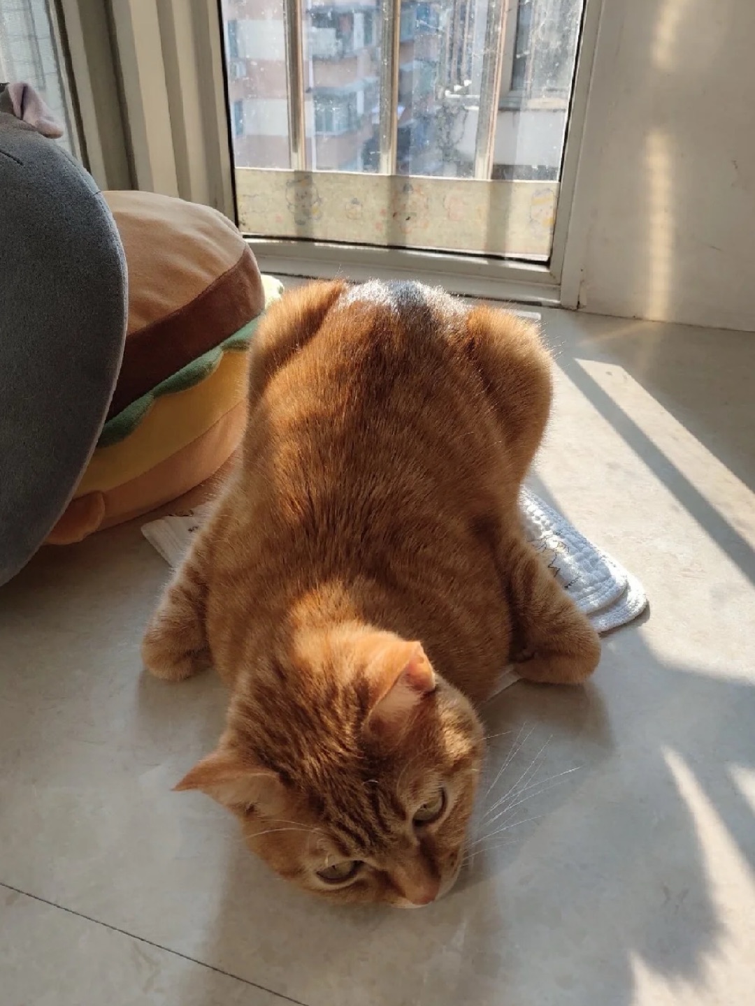 烤鸡一只