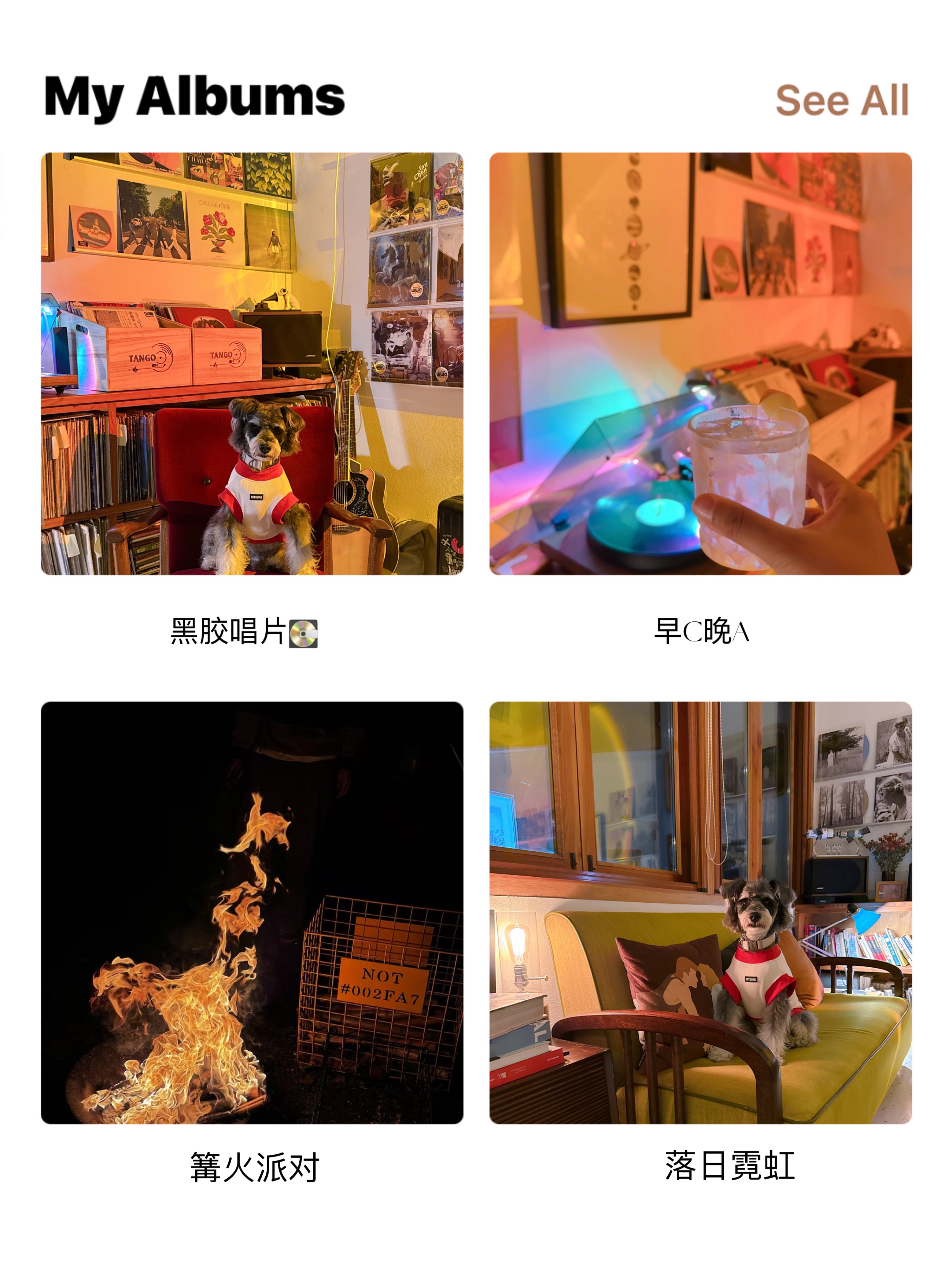 五一必去的莫干山橙月·黑胶唱片民宿