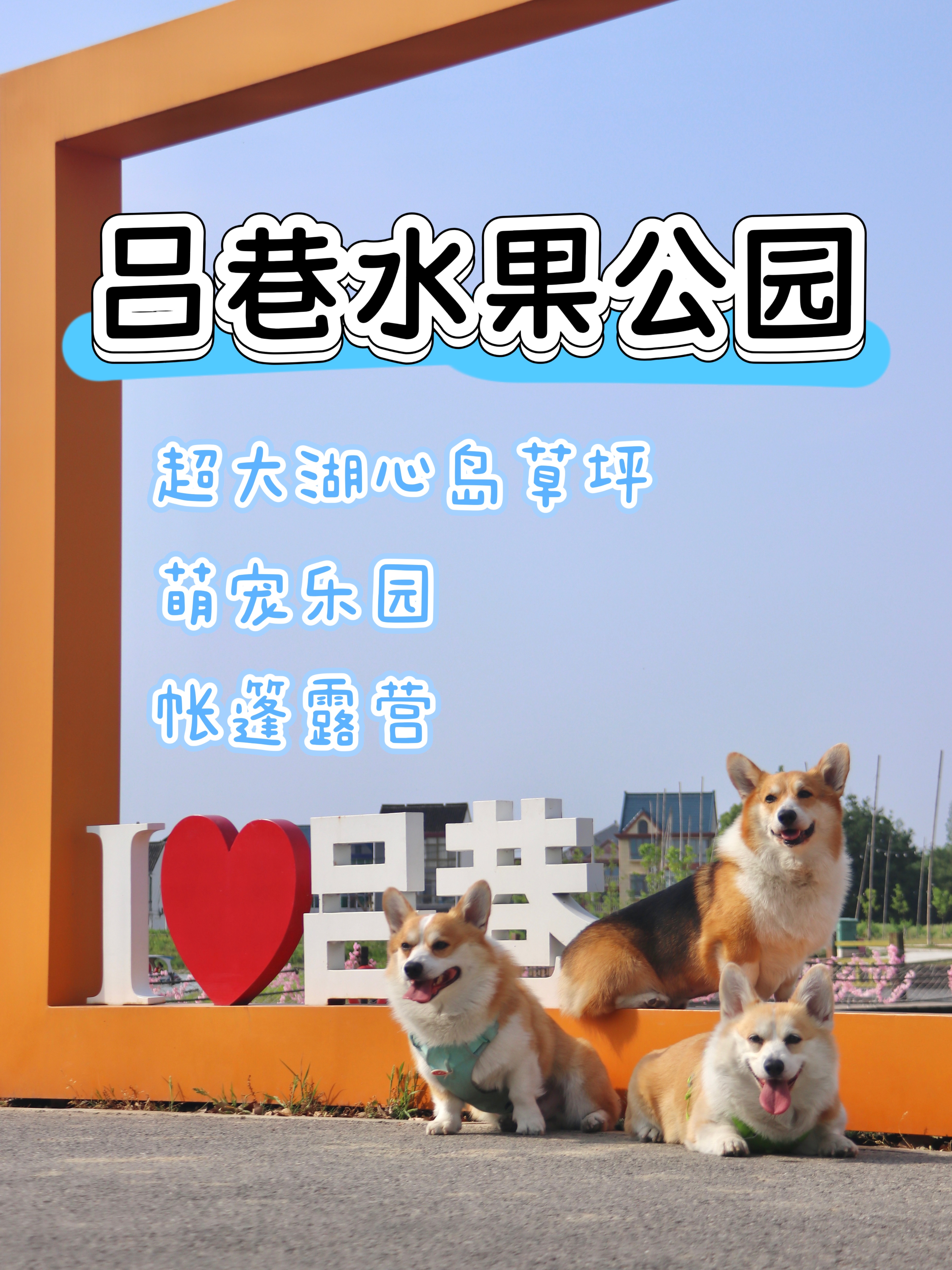 上海自驾1h | 吕巷水果公园⛺露营大草坪
