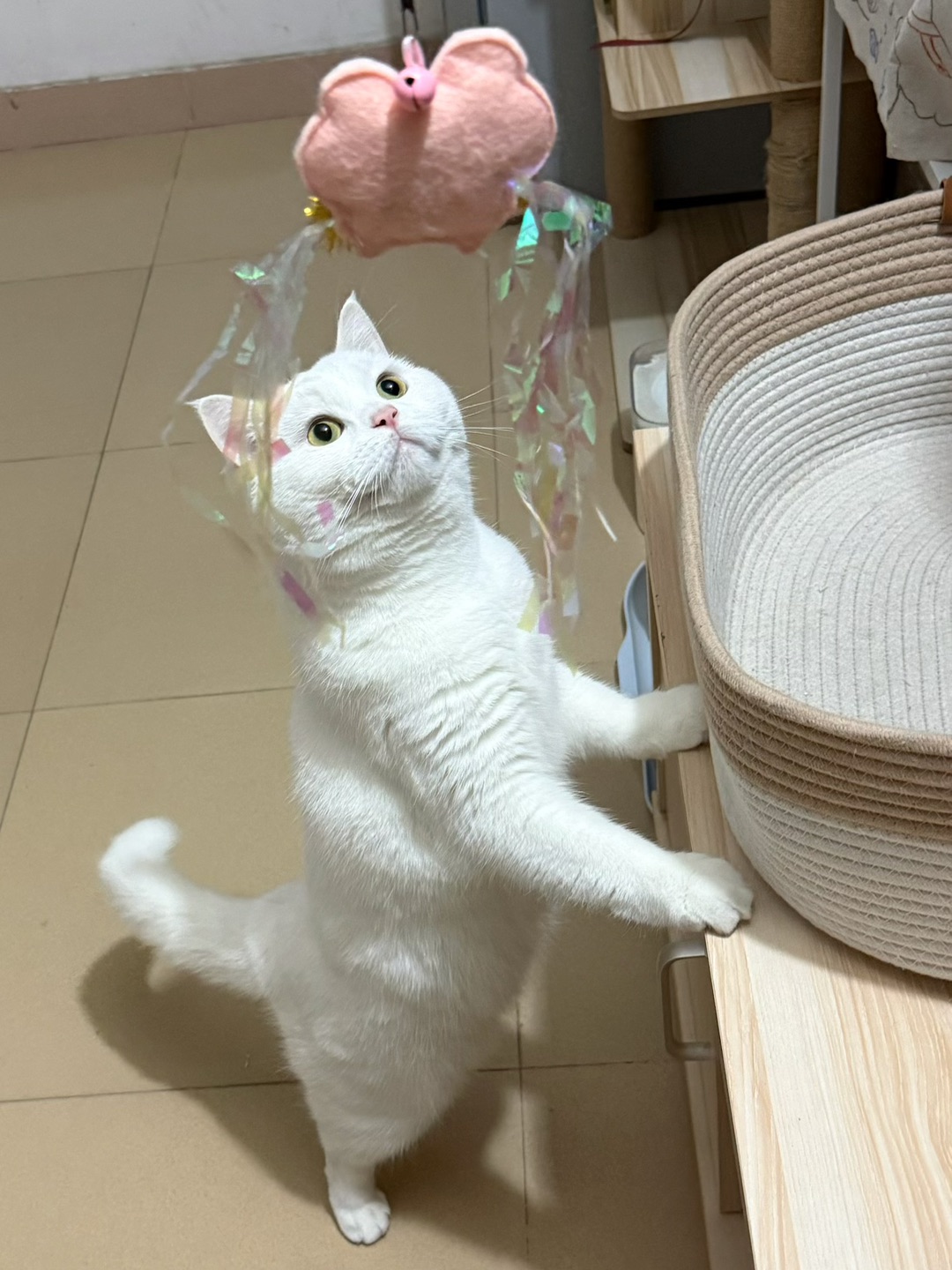 西五街
