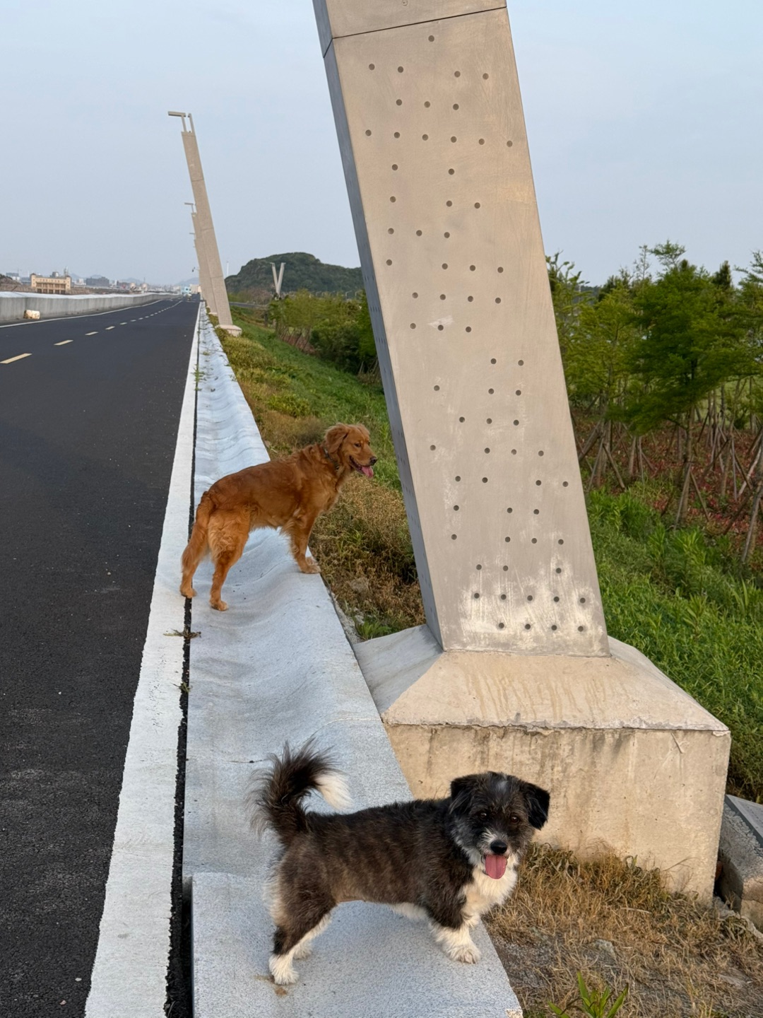 西五街