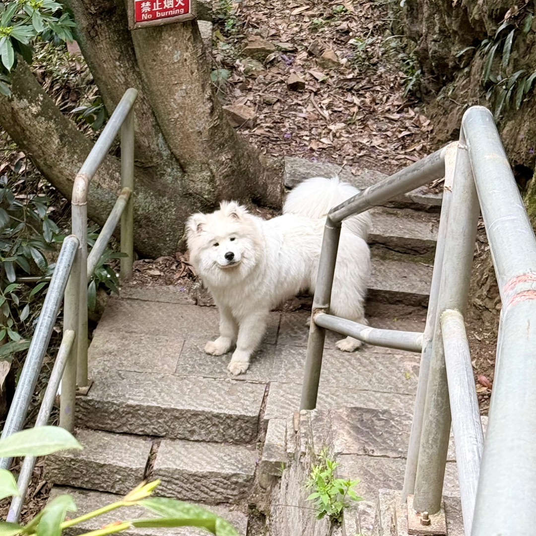 西五街