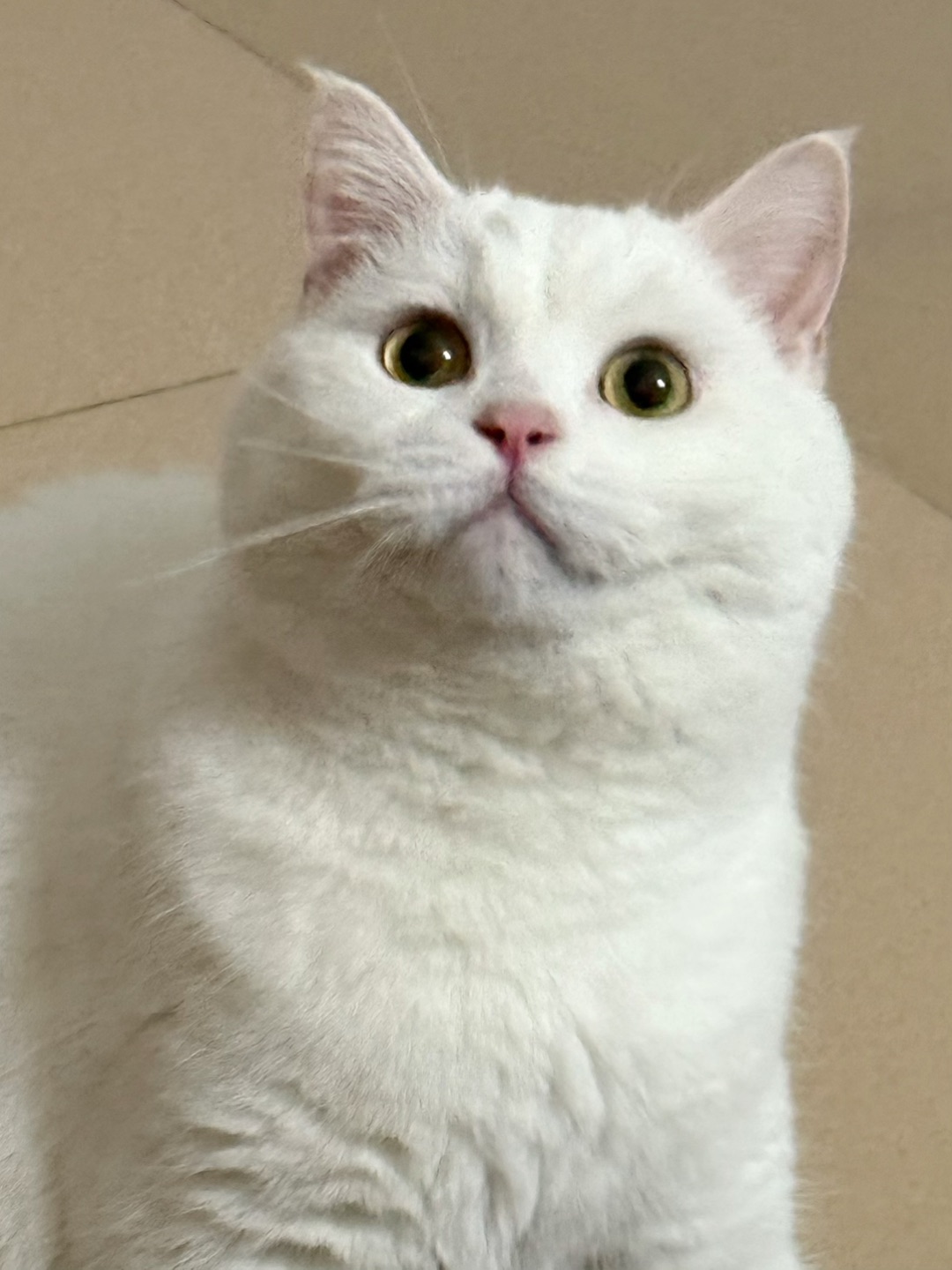 西五街