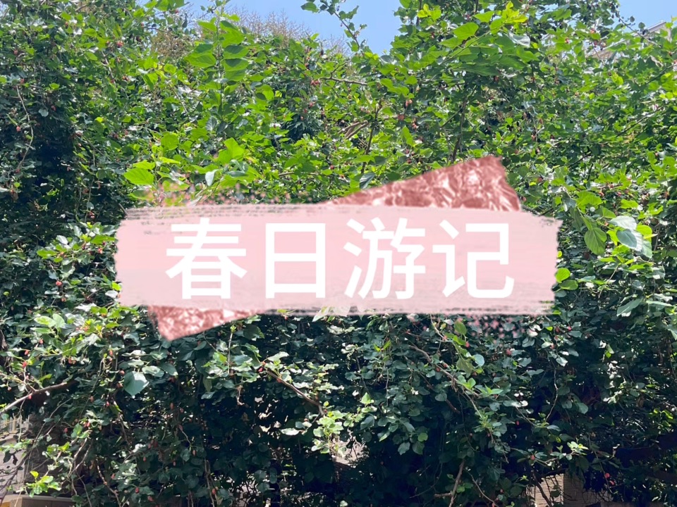 春日游记