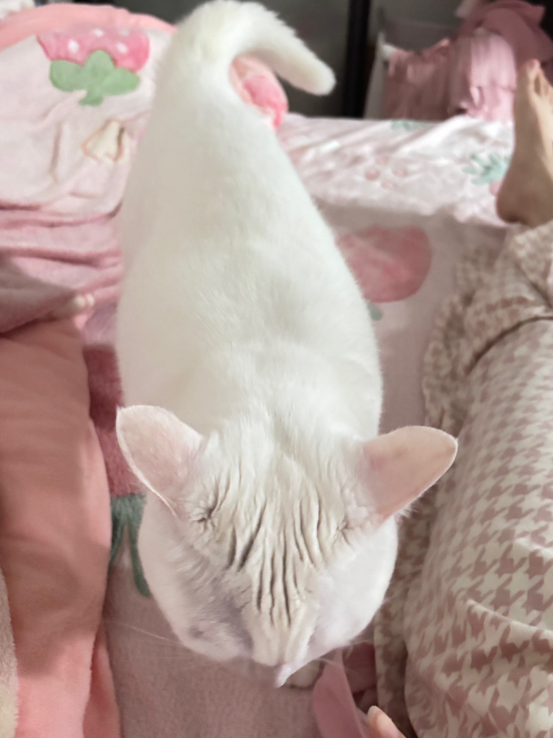 5.11陪伴系列