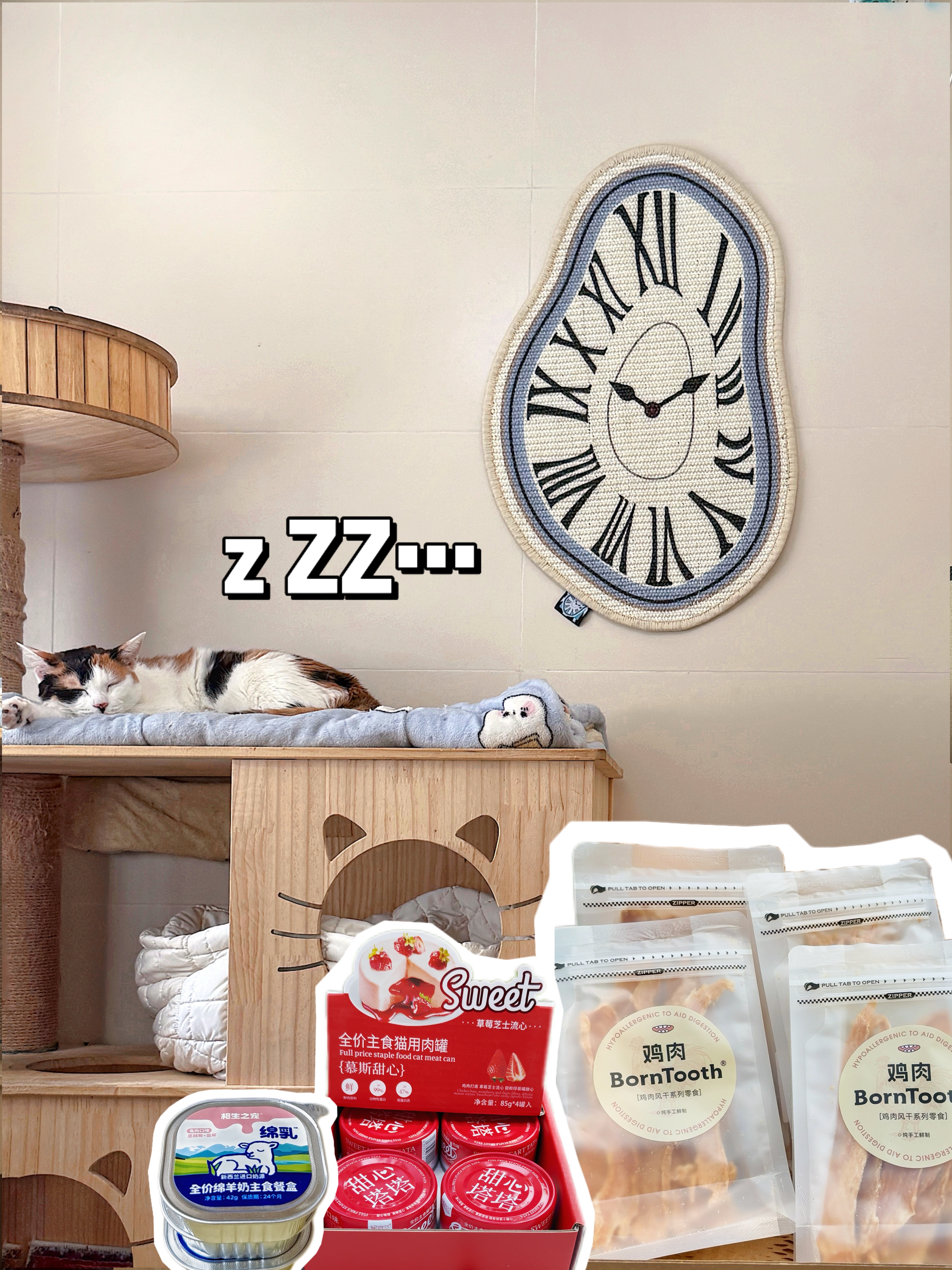 🛒 𝑉𝑙𝑜𝑔｜4招带你走进猫猫舒适圈