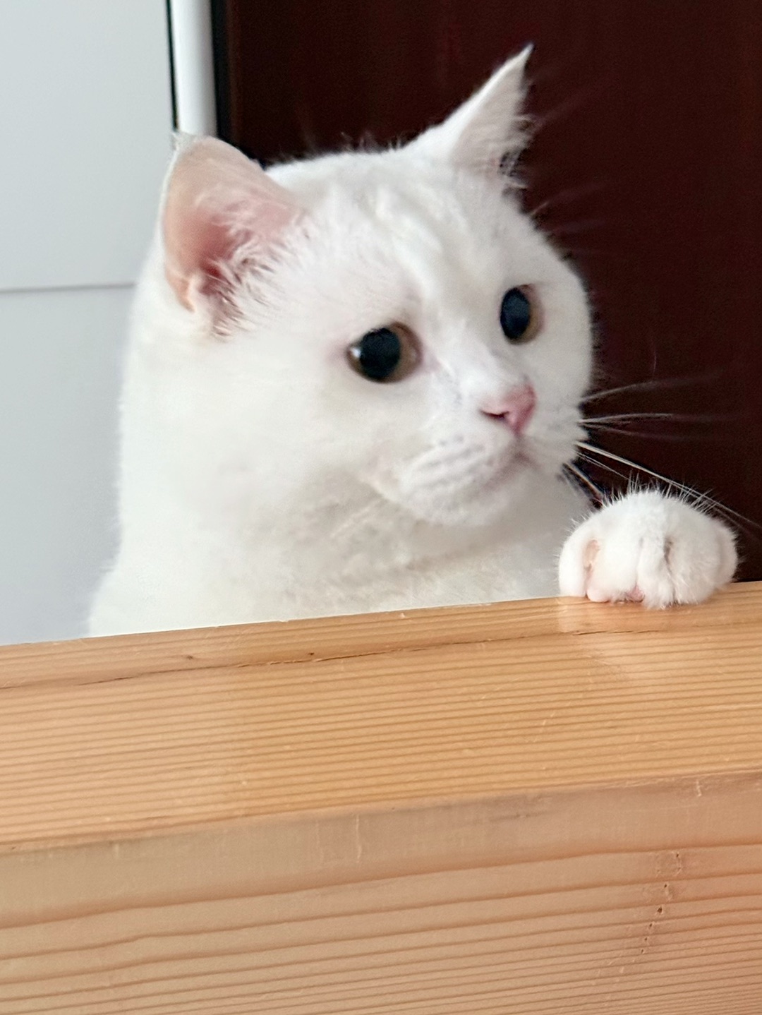 西五街