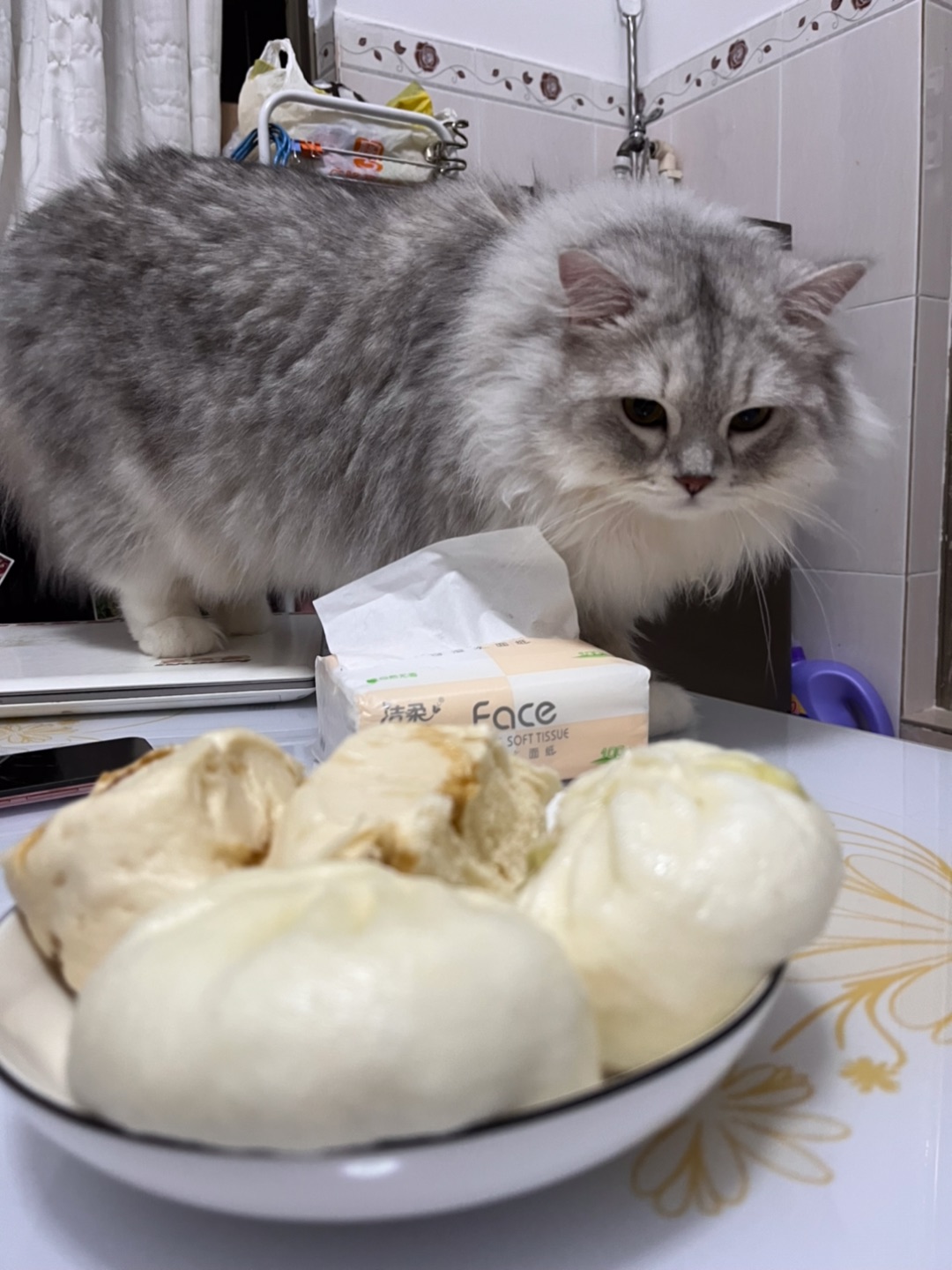 谁是小馋猫！