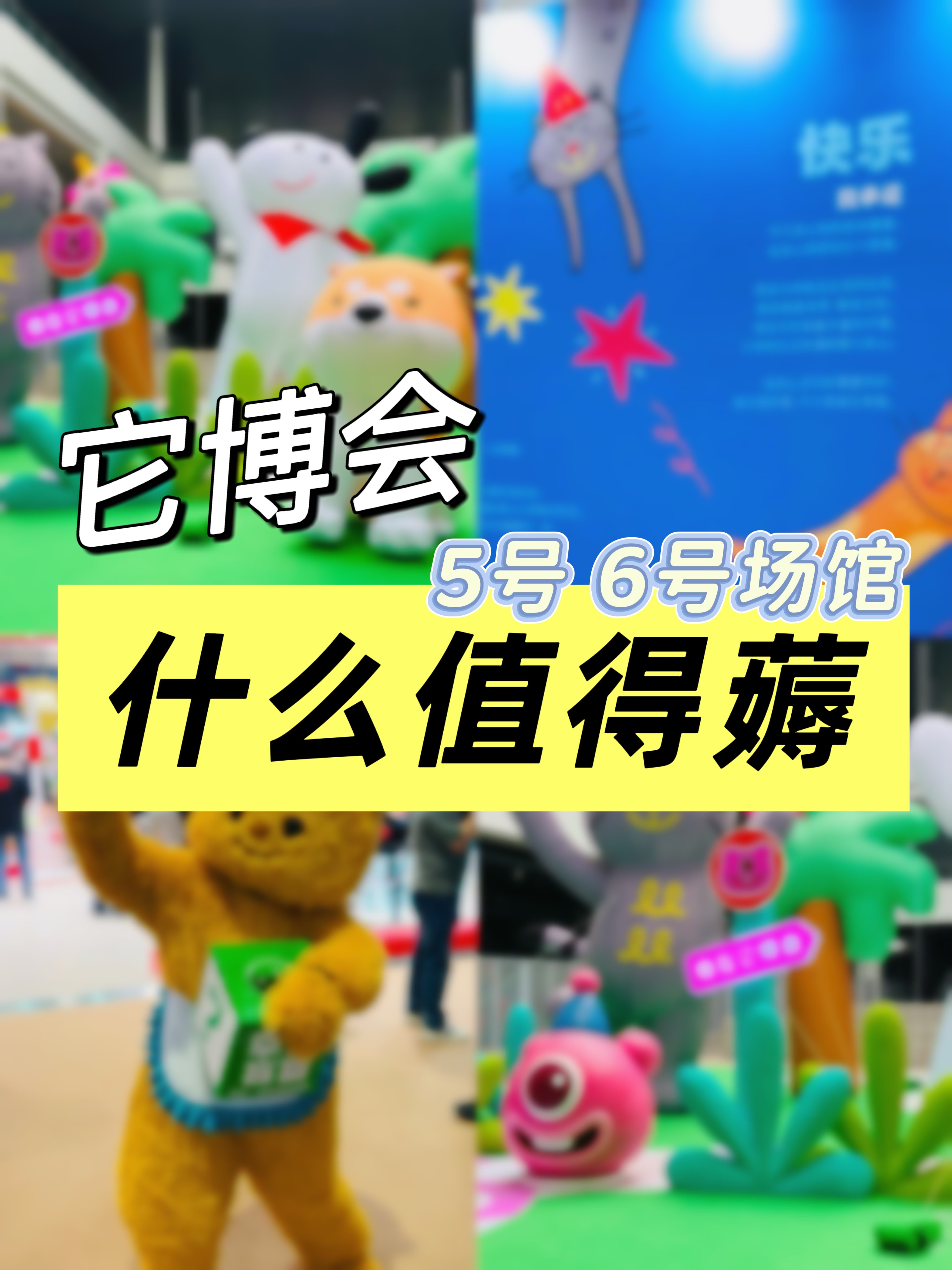 它博会什么值得薅