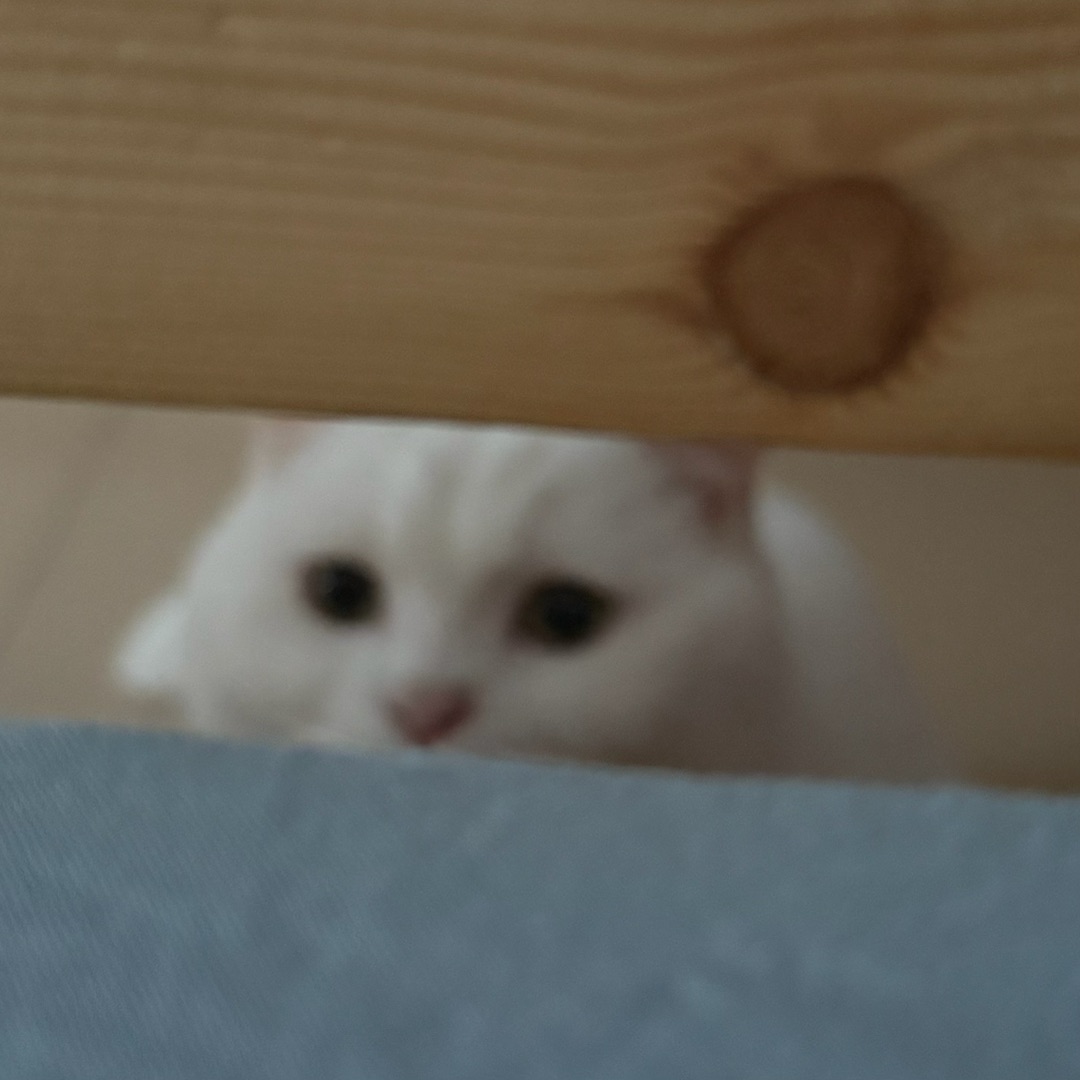 西五街