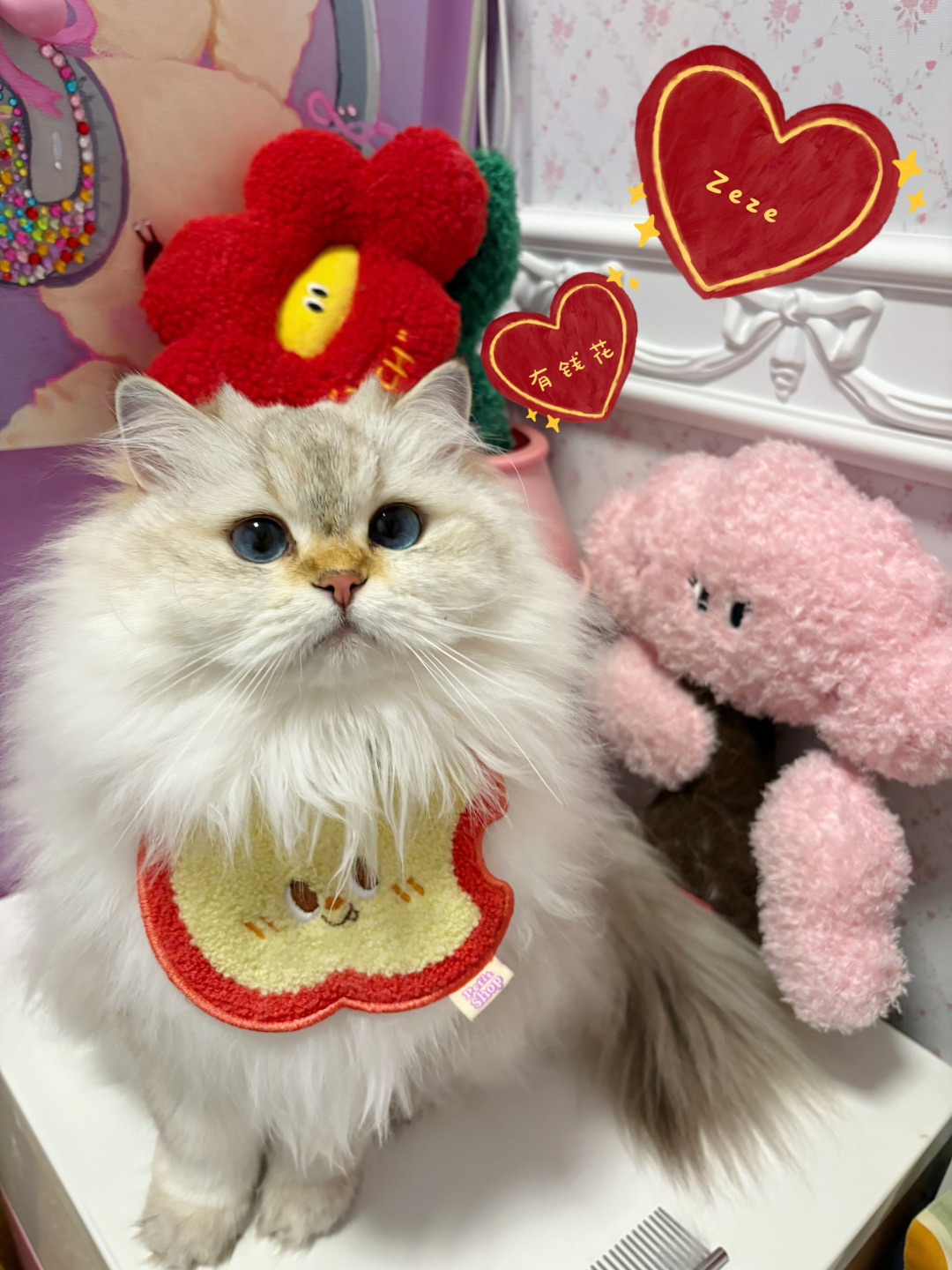 有钱“花” 有钱花！这么可爱的猫猫玩具当然不要错过！