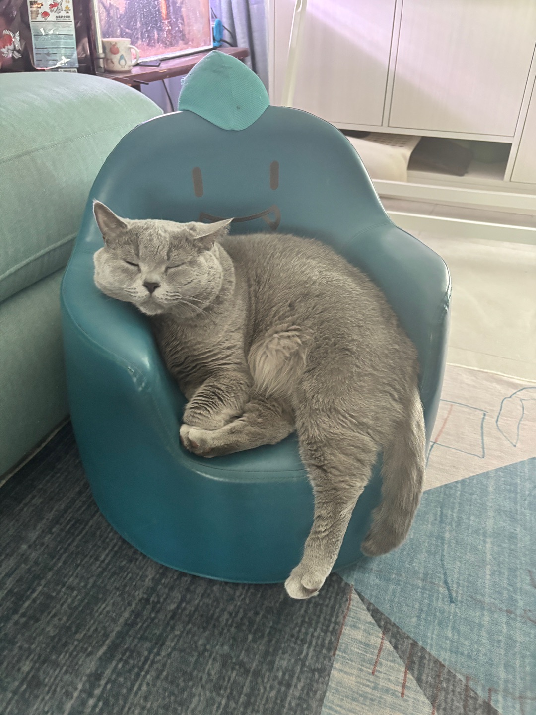 🐱沙发