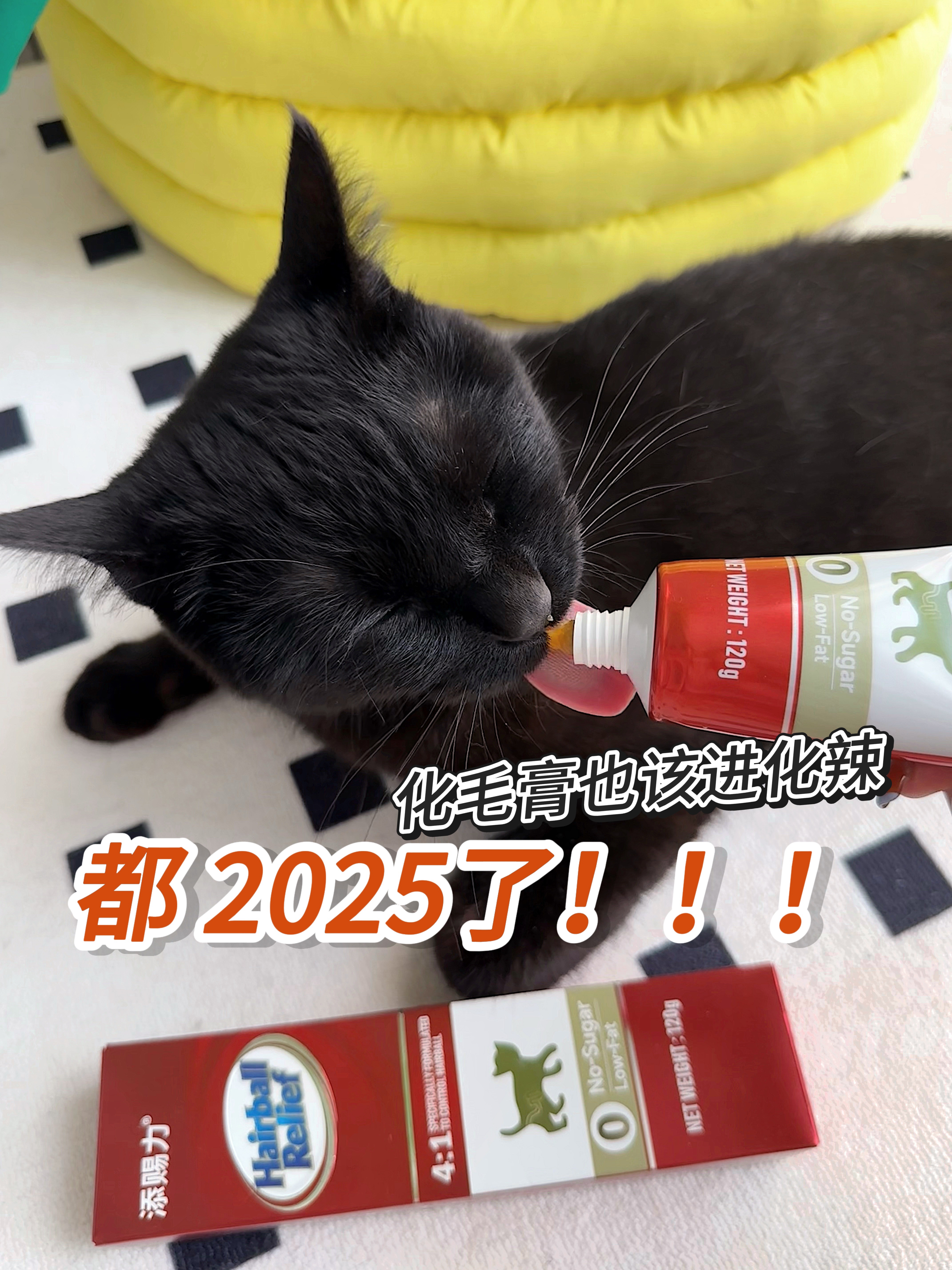 🛒 𝑉𝑙𝑜𝑔｜什么化毛膏配得上2025的猫