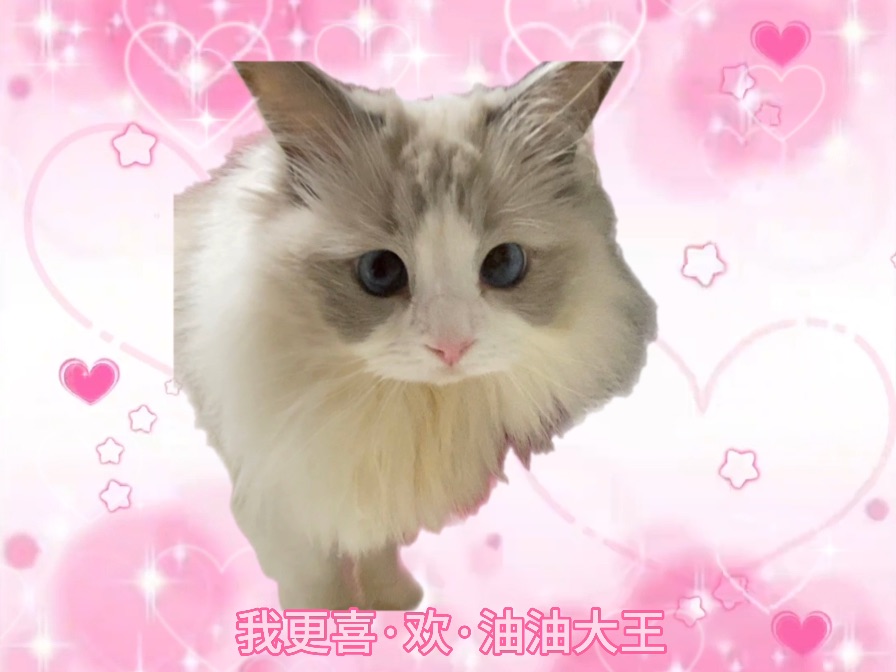 糖糖酱（改良版～）