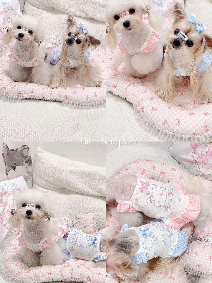 狗狗双子穿搭～