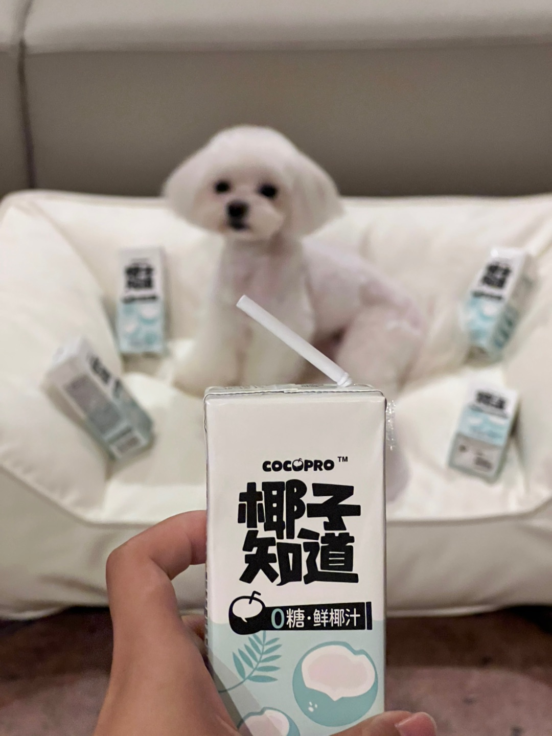 西五街