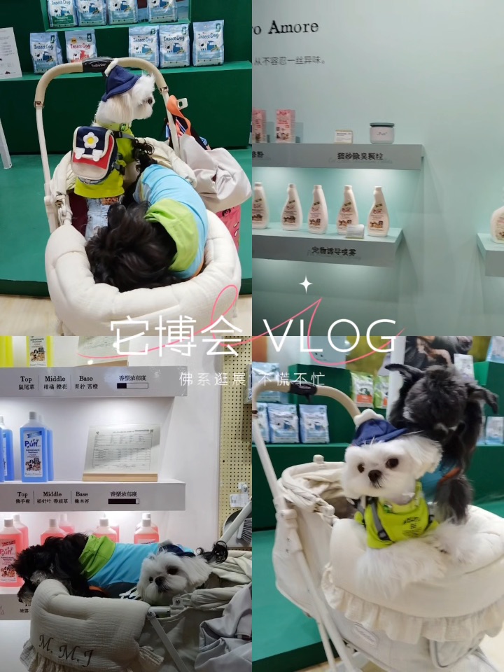 佛系逛展