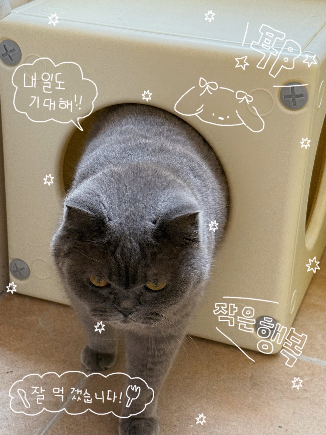 测评 | 爪墅猫房躲避屋🛖