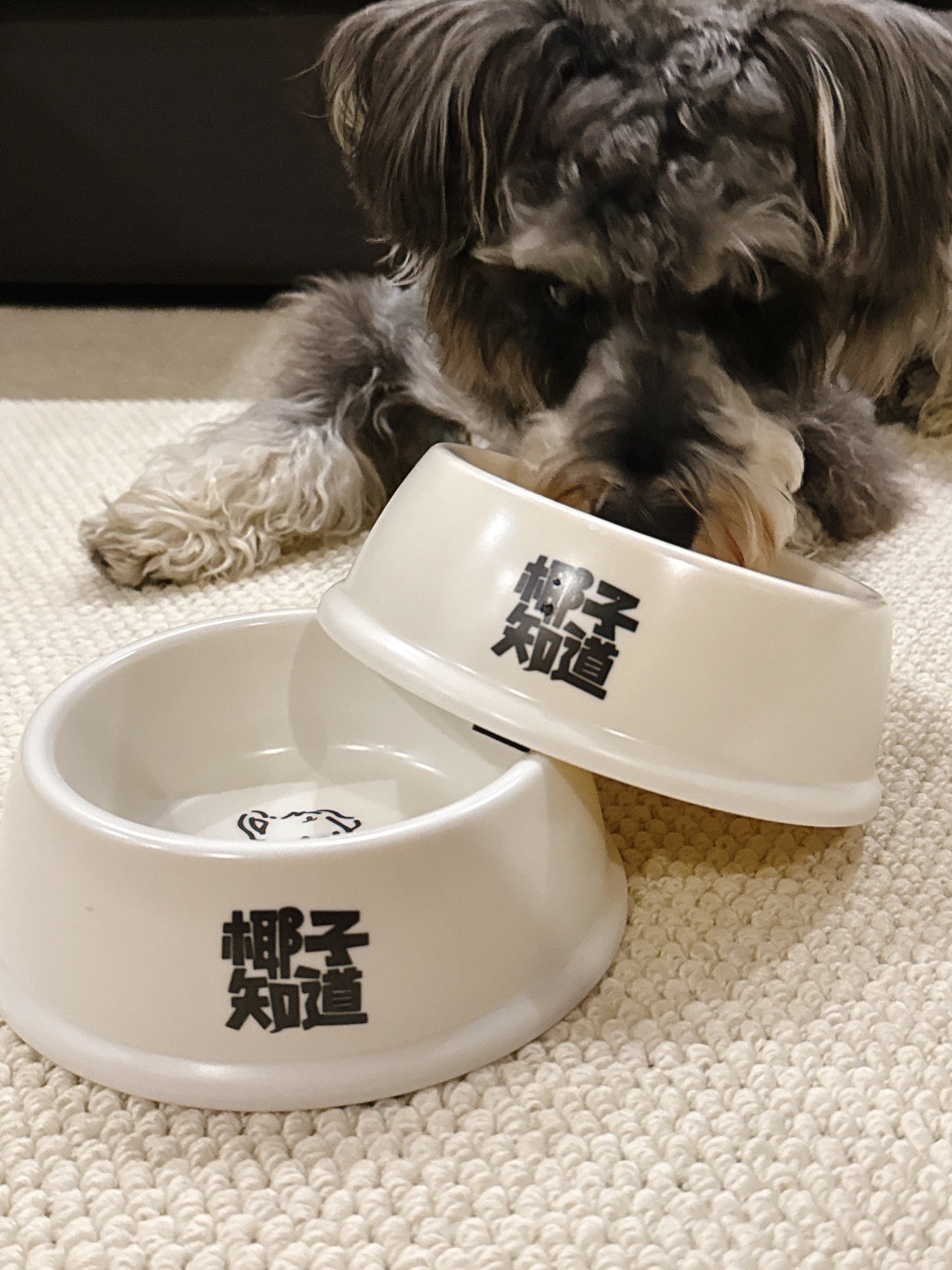 西五街