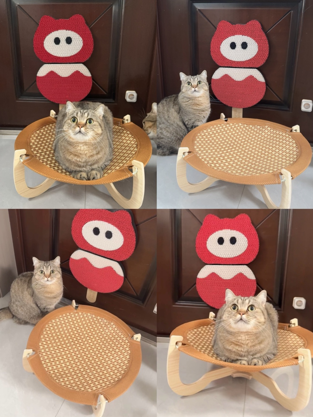 奶猫的梦中情窝：FAFA藤编猫窝深度体验